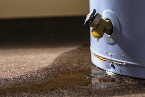 Best Ceiling water damage repair  in Bean Station, TN