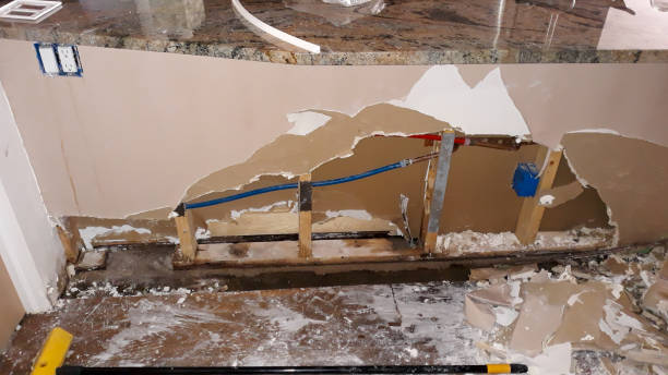  Bean Station, TN Water damage restoration Pros